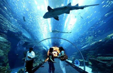 PAKEJ BULAN MADU LANGKAWI 3H2M(GROUND)