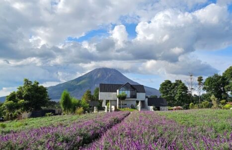 PAKEJ MEDAN + BERASTAGI + TASIK TOBA 4H3M
