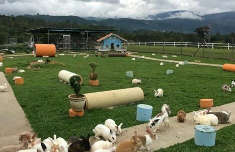 PAKEJ SABAH KK KUNDASANG 4H3M