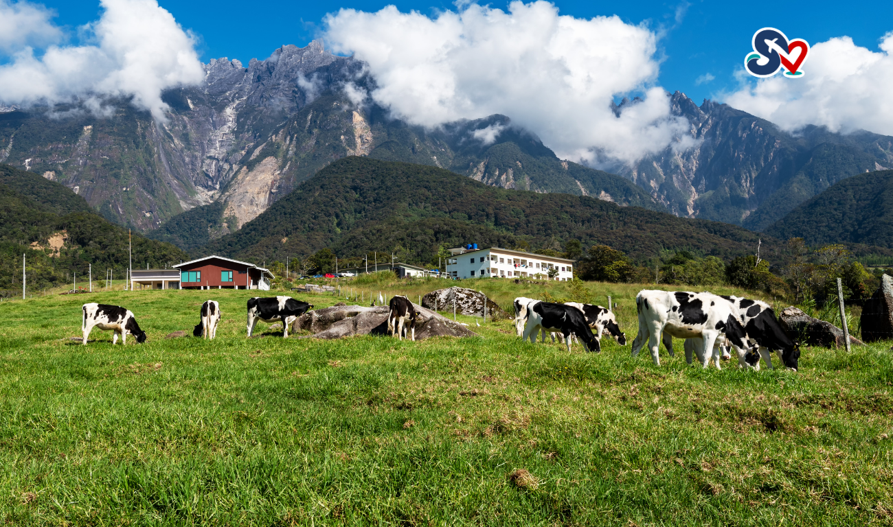 PAKEJ SABAH KK KUNDASANG 4H3M
