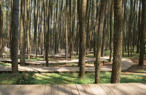 PAKEJ JOGJAKARTA 4H3M (HALFBOARD)