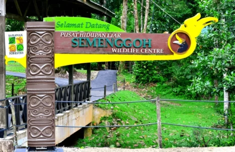 PAKEJ KUCHING 4H3M (FULLBOARD)