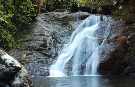 PAKEJ JELAJAH SARAWAK 6H5M