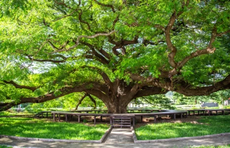 PAKEJ TOUR BANGKOK + KANCHANABURI 4H3M