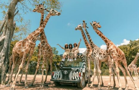 PAKEJ TOUR BANGKOK + KANCHANABURI 4H3M