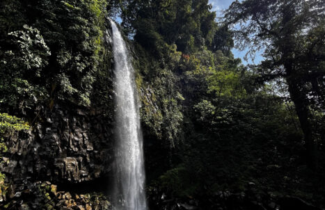 PAKEJ PADANG – BUKITTINGGI – ALAHAN PANJANG 5H4M