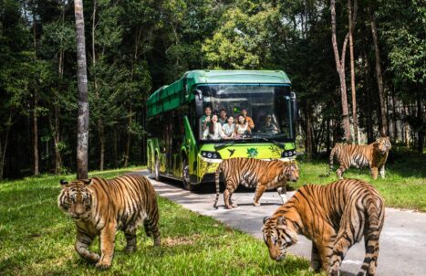 PAKEJ PHU QUOC ISLAND 4H3M
