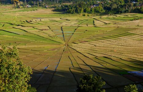 PAKEJ BULAN MADU LABUAN BAJO 5H4M