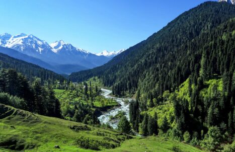 PAKEJ BULAN MADU KASHMIR 6H5M (GROUND)