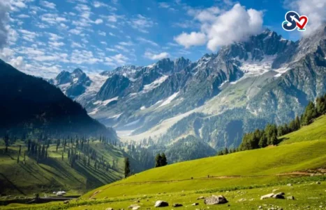 bulan-madu-kashmir-india