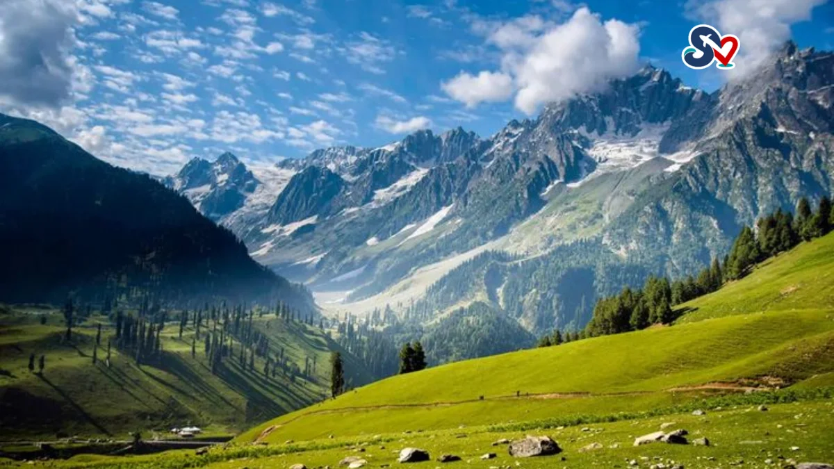 PAKEJ BULAN MADU KASHMIR INDIA 6H5M (GROUND)