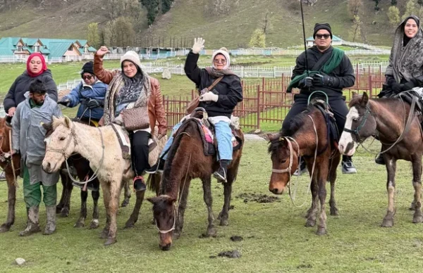 KAshmir 3