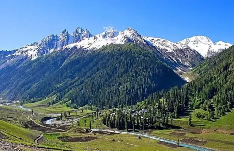 PAKEJ BULAN MADU KASHMIR 6H5M (GROUND)
