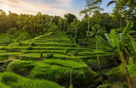 PAKEJ BULAN MADU BALI 5H4M (GROUND)