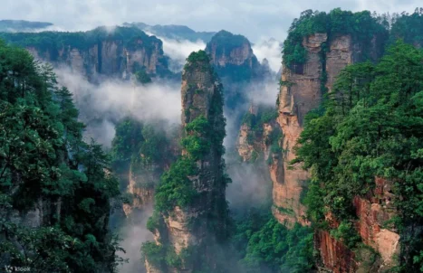 Tiang batu Zhangjiajie yang berkabus di Hunan, China