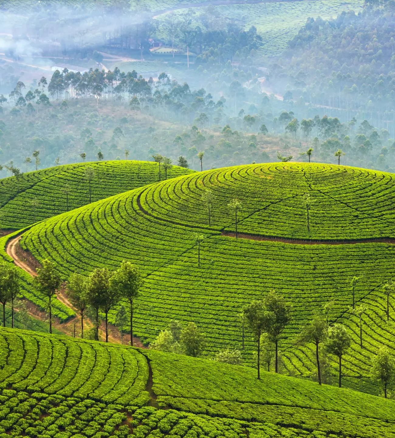 PAKEJ KERALA 7H5M