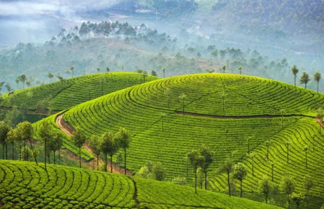 kerala